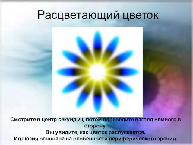 Расцветающий цветок Смотрите в центр секунд 20, потом переведите взгляд немного в