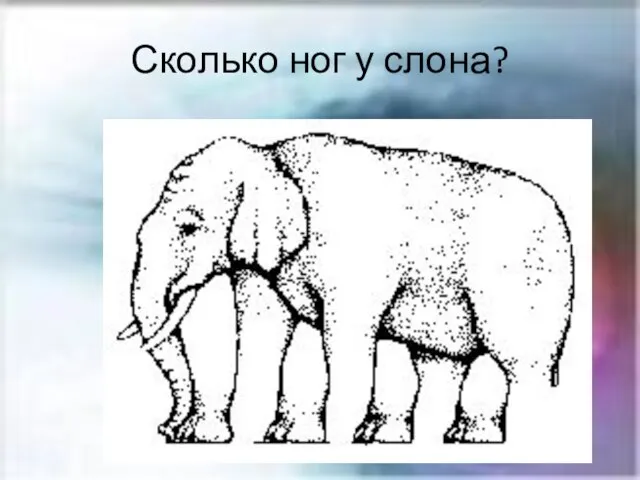 Сколько ног у слона?