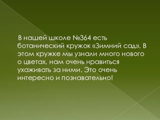 В нашей школе №364 есть ботанический кружок «Зимний сад». В этом кружке