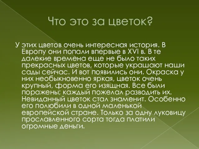 Что это за цветок? У этих цветов очень интересная история. В Европу