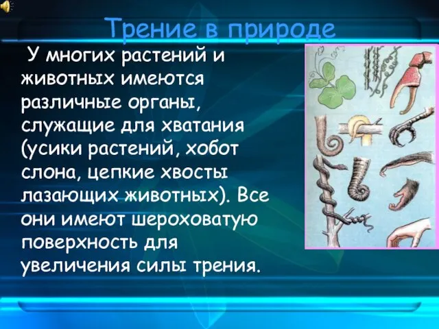 Трение в природе У многих растений и животных имеются различные органы, служащие