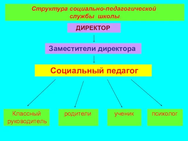 Структура социально-педагогической службы школы. ДИРЕКТОР Заместители директора Социальный педагог Классный руководитель родители ученик психолог