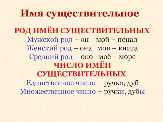 Имя существительное РОД ИМЁН СУЩЕСТВИТЕЛЬНЫХ Мужской род – он мой – пенал