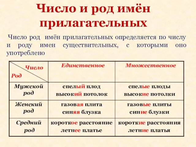 Число и род имён прилагательных Число род имён прилагательных определяется по числу