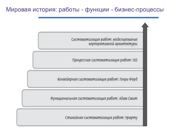 Мировая история: работы - функции - бизнес-процессы