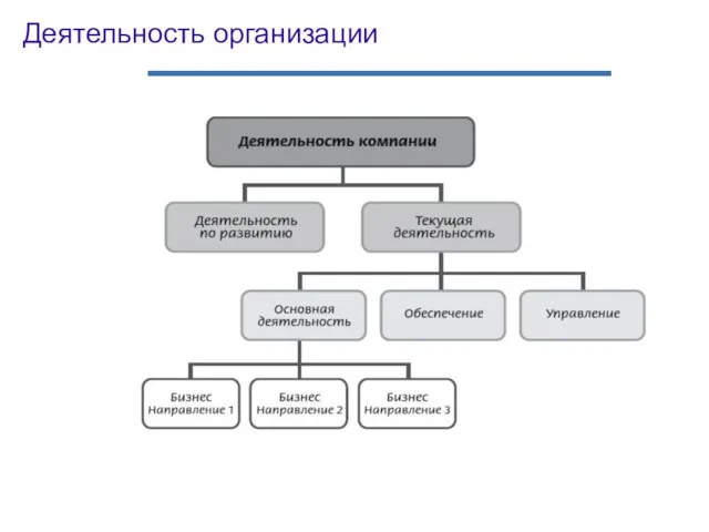 Деятельность организации