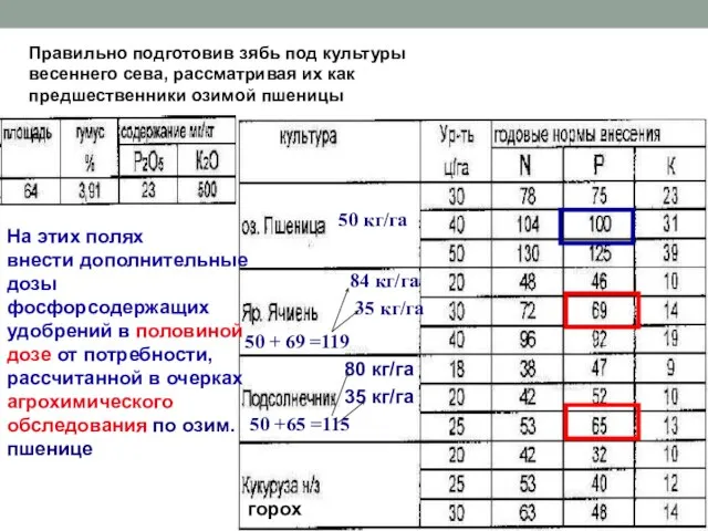 На этих полях внести дополнительные дозы фосфорсодержащих удобрений в половиной дозе от