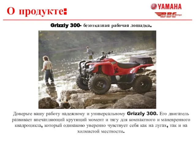 О продукте: Grizzly 300- безотказная рабочая лошадка. Доверьте вашу работу надежному и