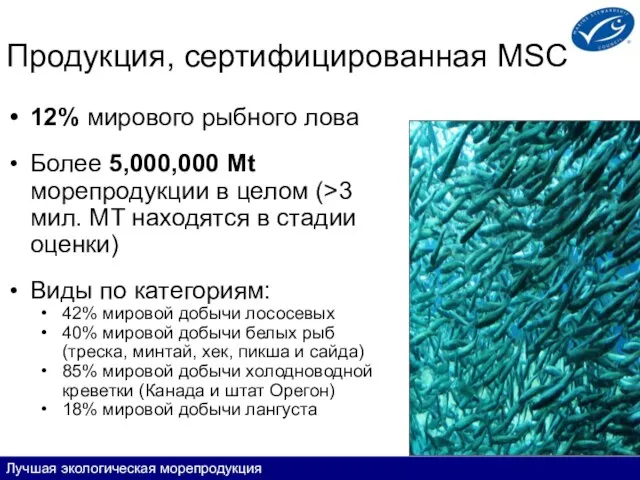 Лучшая экологическая морепродукция Продукция, сертифицированная MSC 12% мирового рыбного лова Более 5,000,000