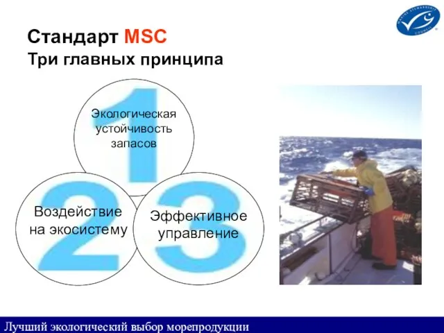 Стандарт MSC Три главных принципа Лучший экологический выбор морепродукции