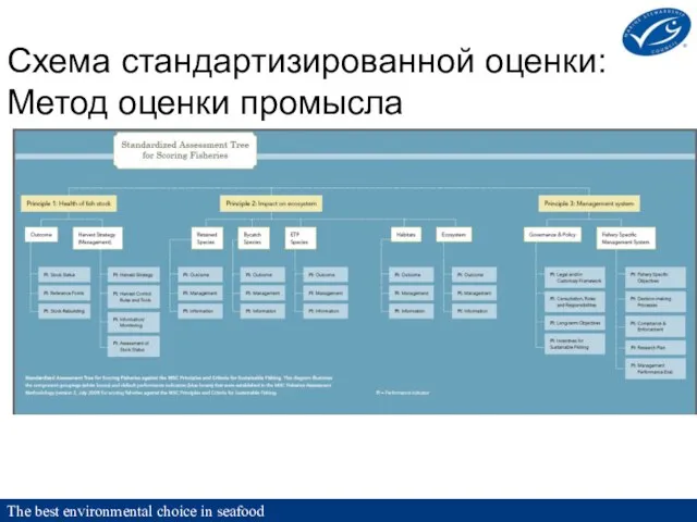 Схема стандартизированной оценки: Метод оценки промысла The best environmental choice in seafood