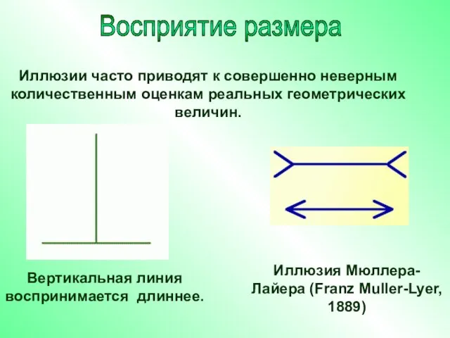 Иллюзии часто приводят к совершенно неверным количественным оценкам реальных геометрических величин. Восприятие