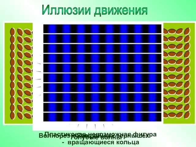 Иллюзии движения Пластиковая невозможная фигура - вращающиеся кольца Волнорез из кофейных зернышек Звезда Голубые волны