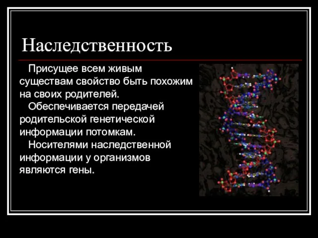 Наследственность Присущее всем живым существам свойство быть похожим на своих родителей. Обеспечивается