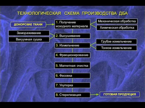 ТЕХНОЛОГИЧЕСКАЯ СХЕМА ПРОИЗВОДСТВА ДБА 1. Получение исходного материала 2. Высушивание 4. Фракционирование