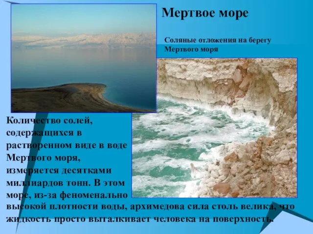 Мертвое море Соляные отложения на берегу Мертвого моря Количество солей, содержащихся в