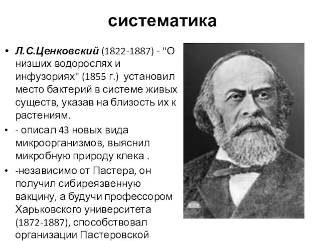 систематика Л.С.Ценковский (1822-1887) - "О низших водорослях и инфузориях" (1855 г.) установил