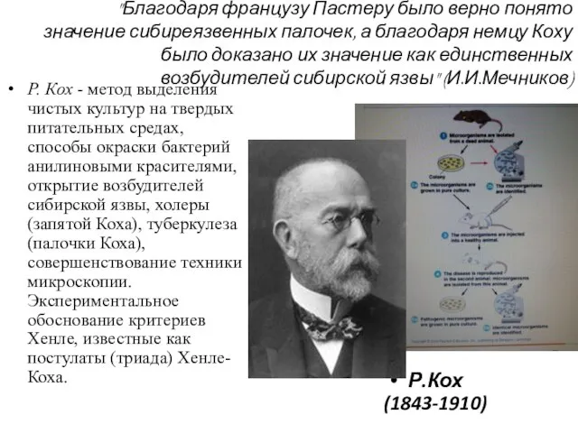 "Благодаря французу Пастеру было верно понято значение сибиреязвенных палочек, а благодаря немцу