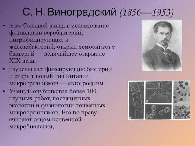 С. Н. Виноградский (1856—1953) внес большой вклад в исследование физиологии серобактерий, нитрифицирующих