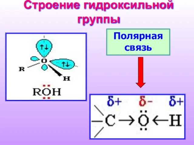 Строение гидроксильной группы Полярная связь