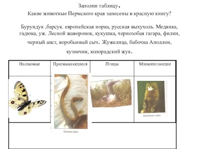 Заполни таблицу. Какие животные Пермского края занесены в красную книгу? Бурундук ,барсук.