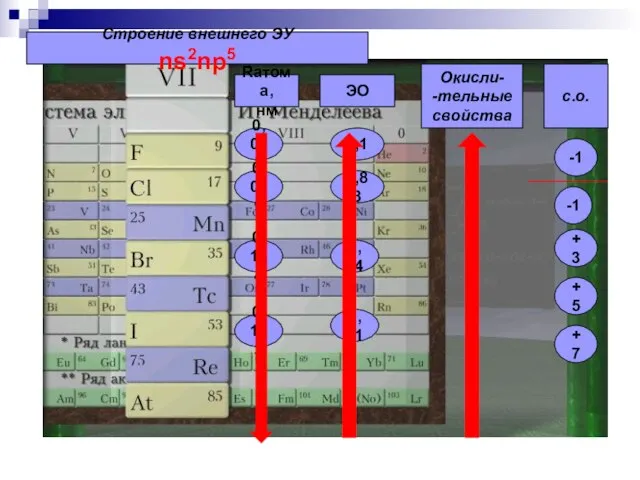 Строение внешнего ЭУ ns2np5 Rатома, нм ЭО Окисли- -тельные свойства 0,073 0,099