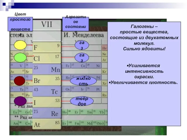 Цвет простого вещества Агрегатное состояние газ газ жидкость твёрдое Галогены – простые