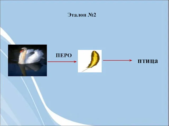 ПЕРО птица Эталон №2