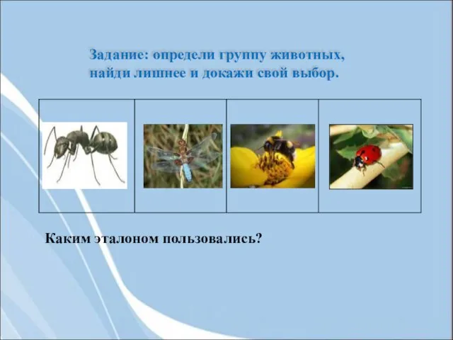 Задание: определи группу животных, найди лишнее и докажи свой выбор. Каким эталоном пользовались?