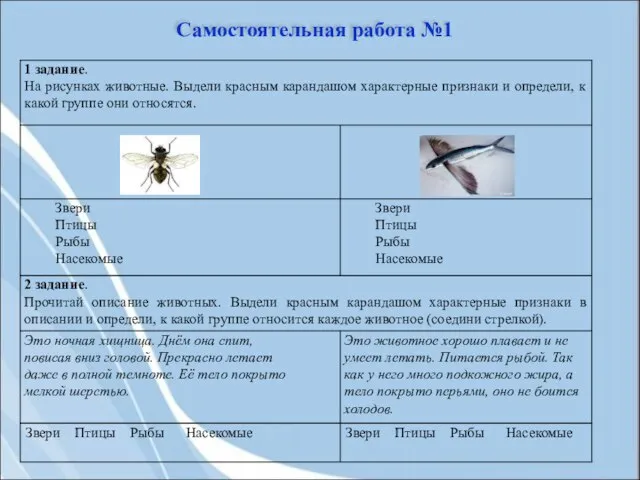 Самостоятельная работа №1