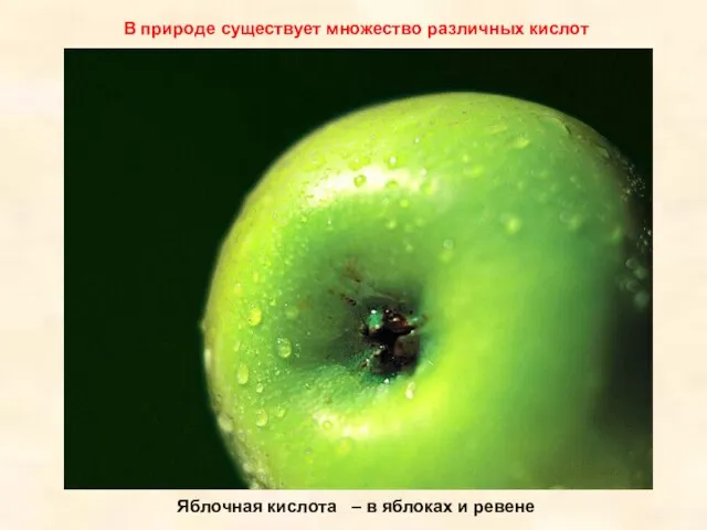 Яблочная кислота – в яблоках и ревене В природе существует множество различных кислот