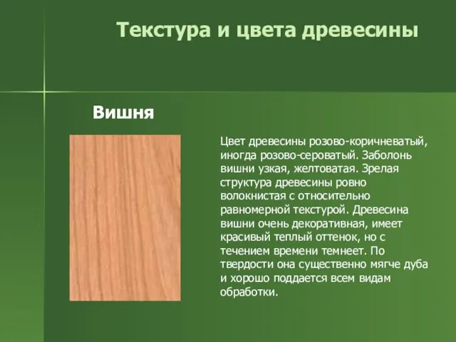 Текстура и цвета древесины Цвет древесины розово-коричневатый, иногда розово-сероватый. Заболонь вишни узкая,