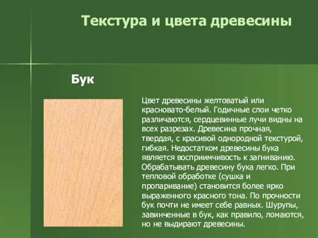 Текстура и цвета древесины Цвет древесины желтоватый или красновато-белый. Годичные слои четко