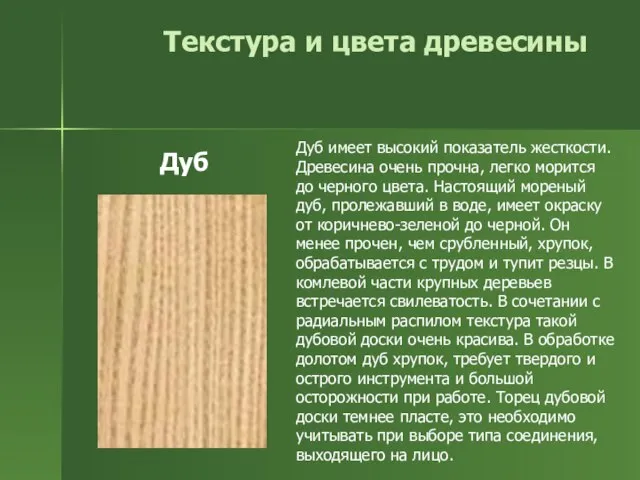 Текстура и цвета древесины Дуб имеет высокий показатель жесткости. Древесина очень прочна,