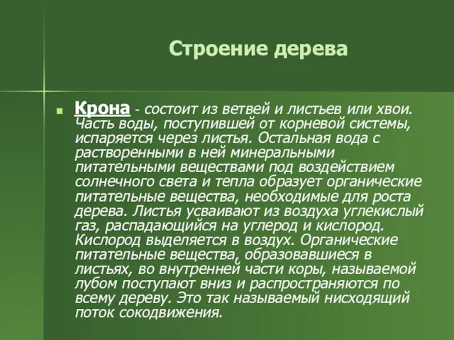 Строение дерева Крона - состоит из ветвей и листьев или хвои. Часть