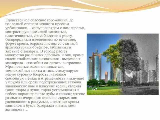 Единственное спасение горожанина, до последней степени зажатого прессом урбанизации, - живущие рядом