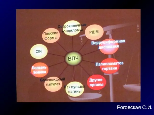 Роговская С.И.