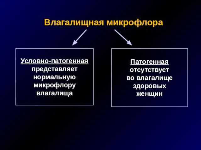 Влагалищная микрофлора Условно-патогенная представляет нормальную микрофлору влагалища Патогенная отсутствует во влагалище здоровых женщин