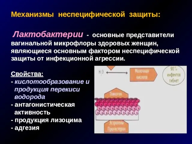 Механизмы неспецифической защиты: Лактобактерии - основные представители вагинальной микрофлоры здоровых женщин, являющиеся