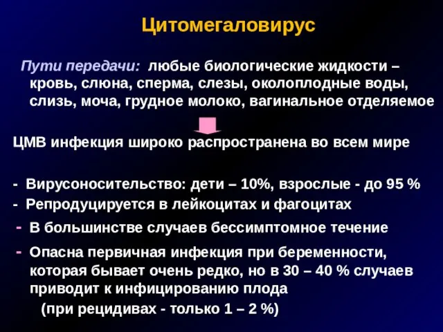 Цитомегаловирус Пути передачи: любые биологические жидкости – кровь, слюна, сперма, слезы, околоплодные