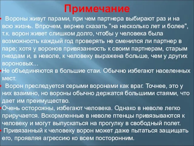 Примечание Вороны живут парами, при чем партнера выбирают раз и на всю