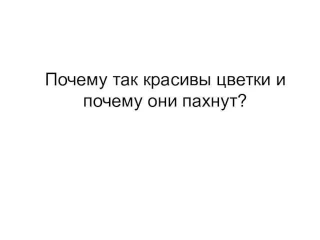 Почему так красивы цветки и почему они пахнут?