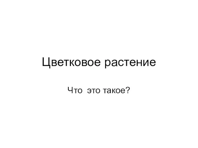 Цветковое растение Что это такое?