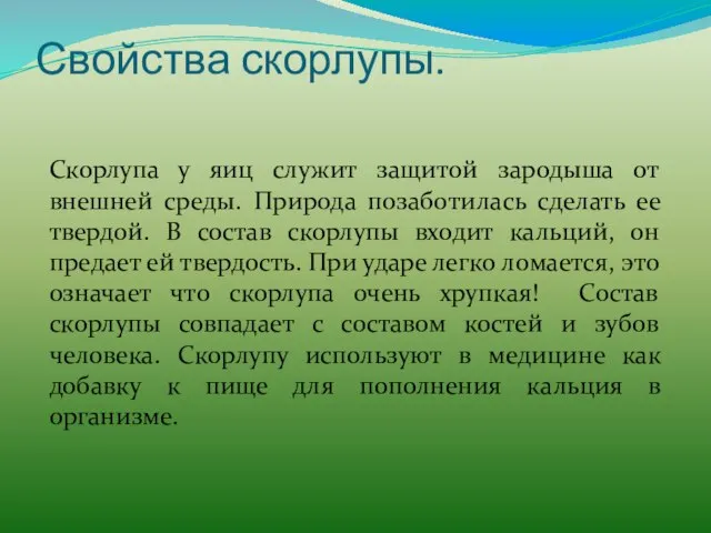 Свойства скорлупы. Скорлупа у яиц служит защитой зародыша от внешней среды. Природа