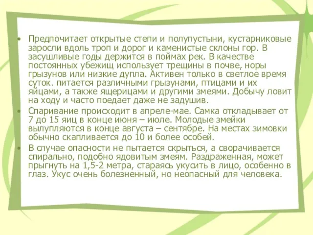 Предпочитает открытые степи и полупустыни, кустарниковые заросли вдоль троп и дорог и