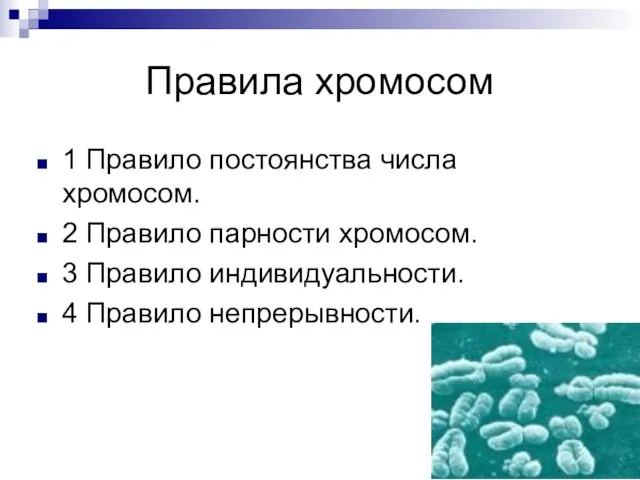 Правила хромосом 1 Правило постоянства числа хромосом. 2 Правило парности хромосом. 3