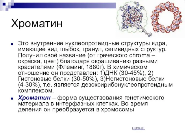 Хроматин Это внутренние нуклеопротеидные структуры ядра, имеющие вид глыбок, гранул, сетивидных структур.