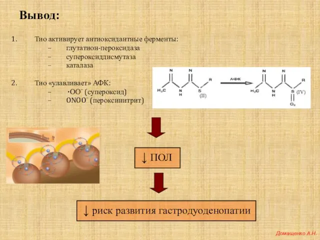 Вывод: Тио активирует антиоксидантные ферменты: глутатион-пероксидаза супероксиддисмутаза каталаза Тио «улавливает» АФК: ·ООˉ