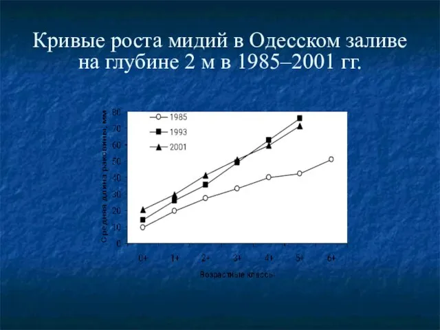Кривые роста мидий в Одесском заливе на глубине 2 м в 1985–2001 гг.