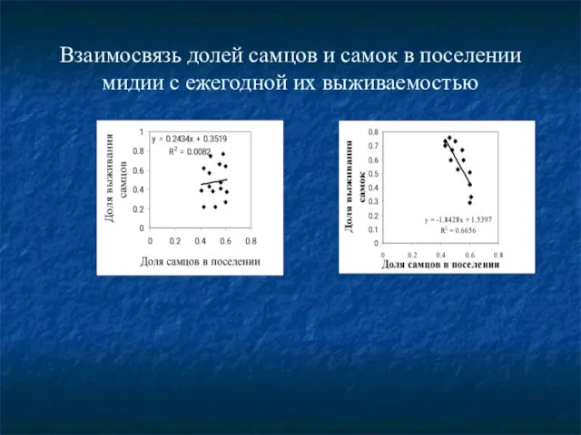 Взаимосвязь долей самцов и самок в поселении мидии с ежегодной их выживаемостью